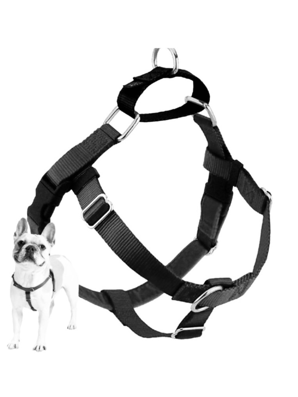 2 Hounds Design Black Freedom No-Pull Dog Harness
